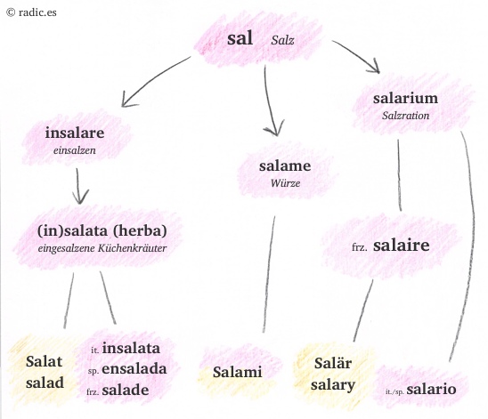 Etymologie Salz